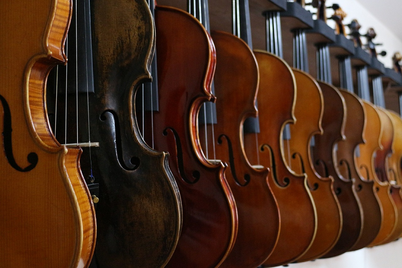 violinistas